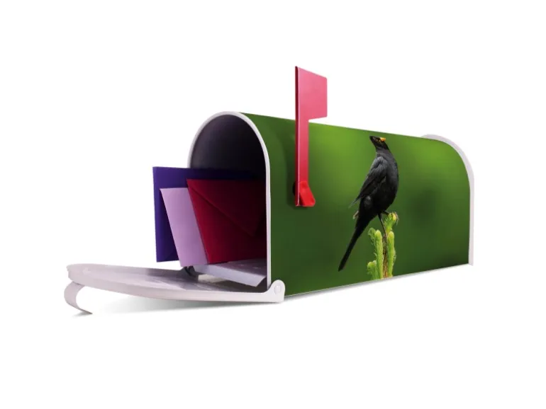 Banjado Amerikanischer Briefkasten Weiß 48x22x16cm US Mailbox Letterbox Postkasten Stahl Pulverbeschichtet Motiv Vogel Auf Tannenzweig