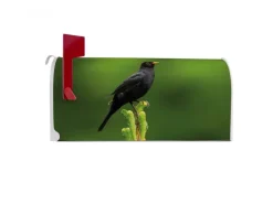 Banjado Amerikanischer Briefkasten Weiß 48x22x16cm US Mailbox Letterbox Postkasten Stahl Pulverbeschichtet Motiv Vogel Auf Tannenzweig