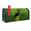 Banjado Amerikanischer Briefkasten Grün 48x22x16cm US Mailbox Letterbox Postkasten Stahl Pulverbeschichtet Motiv Vogel Auf Tannenzweig