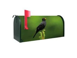 Banjado Amerikanischer Briefkasten Grün 48x22x16cm US Mailbox Letterbox Postkasten Stahl Pulverbeschichtet Motiv Vogel Auf Tannenzweig