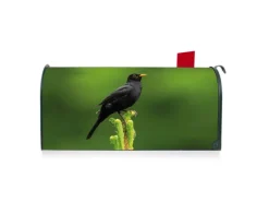 Banjado Amerikanischer Briefkasten Grün 48x22x16cm US Mailbox Letterbox Postkasten Stahl Pulverbeschichtet Motiv Vogel Auf Tannenzweig