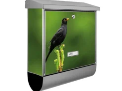 Banjado Briefkasten Edelstahl 38x39x12cm Mit Zeitungsfach Inkl. Montagematerial Motiv Vogel Auf Tannenzweig