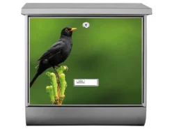 Banjado Briefkasten Edelstahl 38x39x12cm Mit Zeitungsfach Inkl. Montagematerial Motiv Vogel Auf Tannenzweig