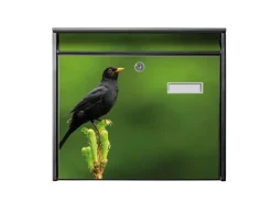 Banjado Briefkasten Schwarz 36.2x32.2x10cm Groß / Inkl. Montagematerial & 2 Schlüsseln / Mit Namensschild Motiv Vogel Auf Tannenzweig