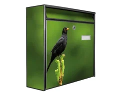 Banjado Briefkasten Schwarz 36.2x32.2x10cm Groß / Inkl. Montagematerial & 2 Schlüsseln / Mit Namensschild Motiv Vogel Auf Tannenzweig