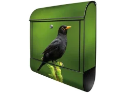 Banjado Design Briefkasten Schwarz Pulverbeschichtet 39x47x14cm 2 Schlüssel Mit Zeitungsfach Motiv Vogel Auf Tannenzweig