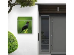 Banjado Design Briefkasten Weiß Pulverbeschichtet 39x47x14cm 2 Schlüssel Mit Zeitungsfach Motiv Vogel Auf Tannenzweig