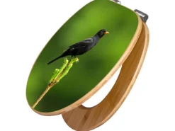 Banjado Design WC Sitz Bambus Holz Toilettendeckel Mit Absenkautomatik Klodeckel WC-Sitz Soft Close Mit Motiv Vogel Auf Tannenzweig