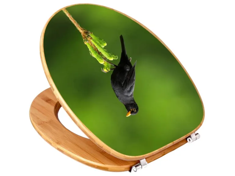 Banjado Design WC Sitz Bambus Toilettendeckel Toilettensitz Bambus Holz Klodeckel WC-Sitz Universal Scharnieren Motiv Vogel Auf Tannenzweig