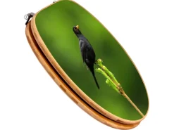 Banjado Design WC Sitz Bambus Toilettendeckel Toilettensitz Bambus Holz Klodeckel WC-Sitz Universal Scharnieren Motiv Vogel Auf Tannenzweig