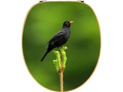 Banjado Design WC Sitz Bambus Toilettendeckel Toilettensitz Bambus Holz Klodeckel WC-Sitz Universal Scharnieren Motiv Vogel Auf Tannenzweig