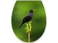 Banjado Familien WC Sitz Mit Absenkautomatik Universeller Klodeckel Mit Kindersitz Hochwertiges Polypropylen Mit Motiv Vogel Auf Tannenzweig