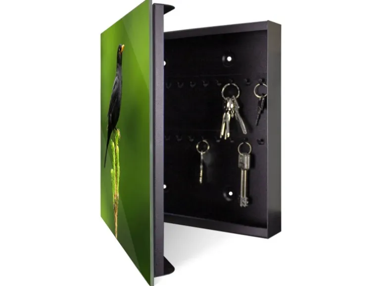 Banjado Großer Schlüsselkasten Glas 30x30cm Schwarz Scharnier Links 50 Haken Beschreibbar Magnetisch Motiv Vogel Auf Tannenzweig