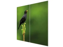 Banjado Herdabdeckplatte Glas 2 Teilig Je 30x52CM Schneidebrett Herdabdeckung Mit Motiv Vogel Auf Tannenzweig