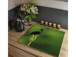 Banjado Herdabdeckplatte Glas 2 Teilig Je 30x52CM Schneidebrett Herdabdeckung Mit Motiv Vogel Auf Tannenzweig