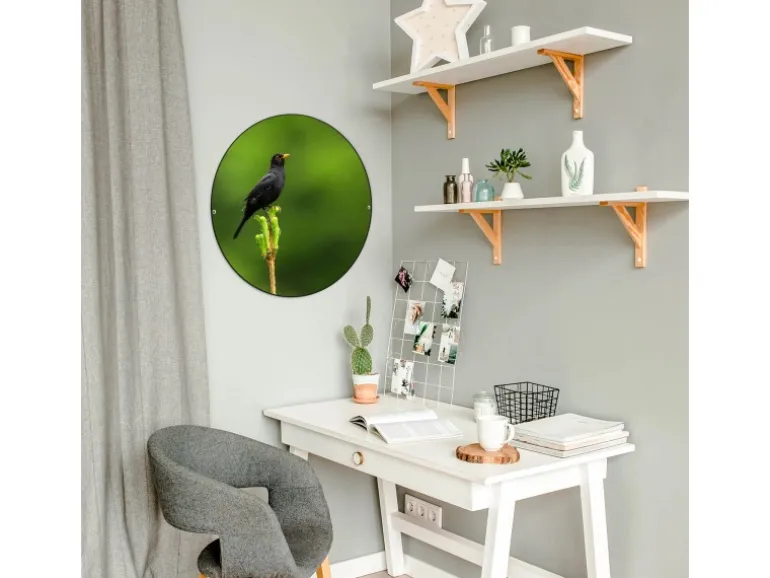 Banjado Magnettafel Rund Größe 47cm Magnetwand Schwarz Aus Metall Magnetpinnwand Pinnwand Motiv Vogel Auf Tannenzweig