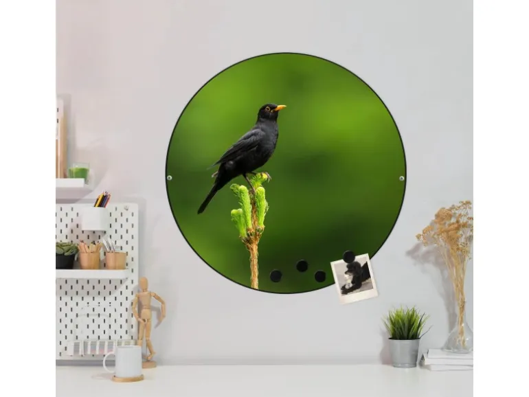 Banjado Magnettafel Rund Größe 47cm Magnetwand Schwarz Aus Metall Magnetpinnwand Pinnwand Motiv Vogel Auf Tannenzweig