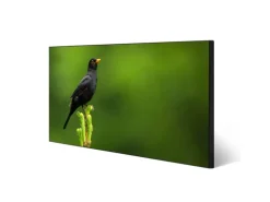 Banjado Magnettafel 78x37cm Magnetwand  Schwarz Aus Metall Magnetpinnwand Pinnwand Inkl. 4 Magnete Motiv Vogel Auf Tannenzweig