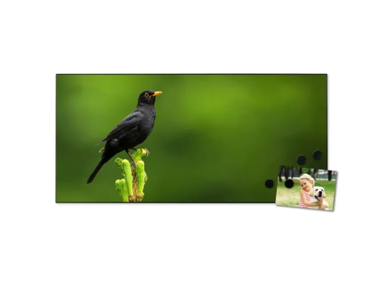 Banjado Magnettafel 78x37cm Magnetwand Schwarz Aus Metall Magnetpinnwand Pinnwand Inkl. 4 Magnete Motiv Vogel Auf Tannenzweig