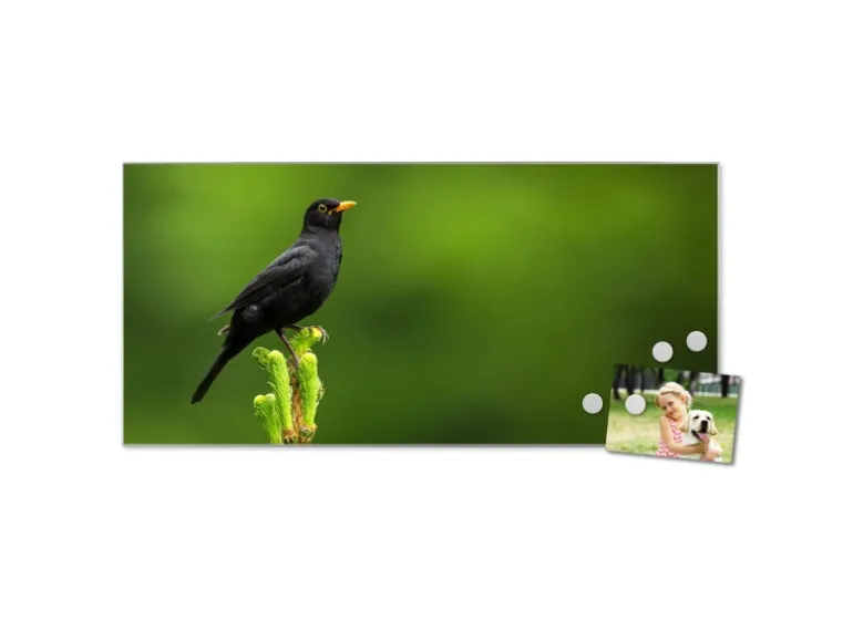 Banjado Magnettafel 78x37cm Magnetwand Silber Aus Metall Magnetpinnwand Pinnwand Inkl. 4 Magnete Motiv Vogel Auf Tannenzweig