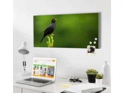 Banjado Magnettafel 78x37cm Magnetwand Silber Aus Metall Magnetpinnwand Pinnwand Inkl. 4 Magnete Motiv Vogel Auf Tannenzweig