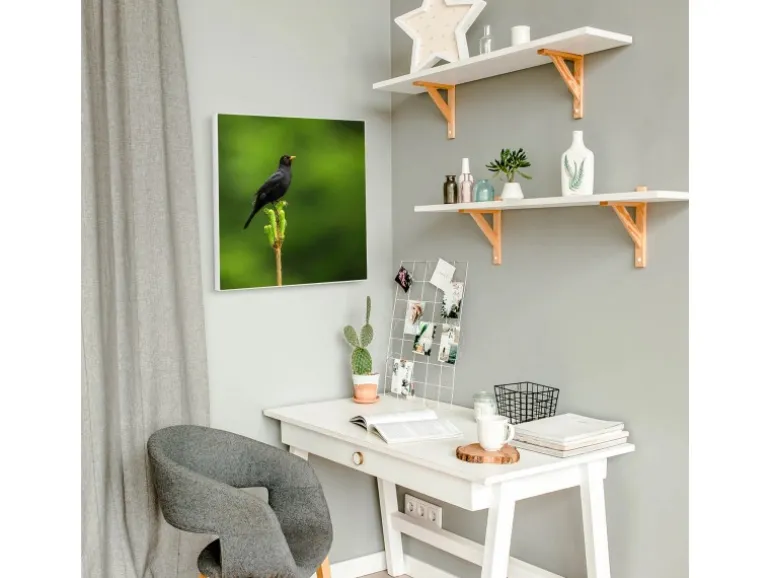 Banjado Magnettafel 50x50cm Magnetwand Weiß Aus Metall Magnetpinnwand Pinnwand Inkl. 4 Magnete Motiv Vogel Auf Tannenzweig