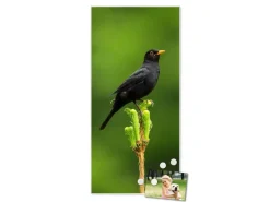 Banjado Magnettafel 37x78cm Magnetwand  Weiß Aus Metall Magnetpinnwand Pinnwand Inkl. 4 Magnete Motiv Vogel Auf Tannenzweig