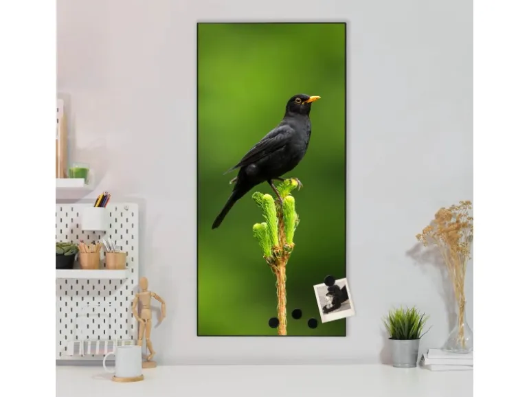 Banjado Magnettafel 37x78cm Magnetwand Schwarz Aus Metall Magnetpinnwand Pinnwand Inkl. 4 Magnete Motiv Vogel Auf Tannenzweig