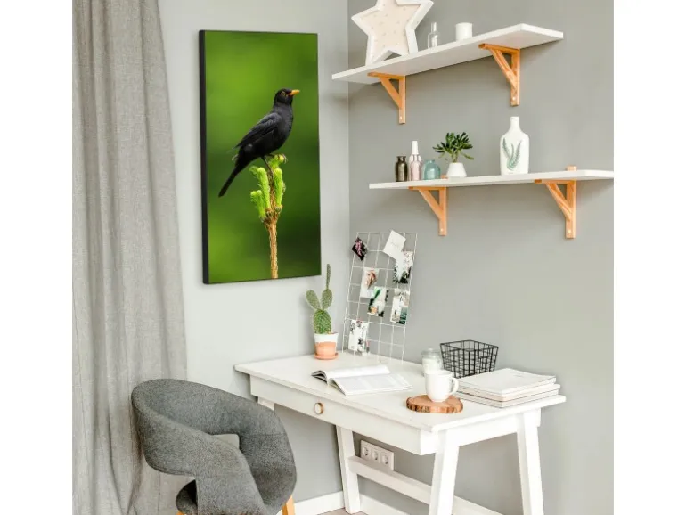 Banjado Magnettafel 37x78cm Magnetwand Schwarz Aus Metall Magnetpinnwand Pinnwand Inkl. 4 Magnete Motiv Vogel Auf Tannenzweig