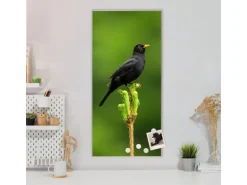 Banjado Magnettafel 37x78cm Magnetwand Silber Aus Metall Magnetpinnwand Pinnwand Inkl. 4 Magnete Motiv Vogel Auf Tannenzweig