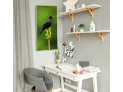 Banjado Magnettafel 37x78cm Magnetwand Silber Aus Metall Magnetpinnwand Pinnwand Inkl. 4 Magnete Motiv Vogel Auf Tannenzweig