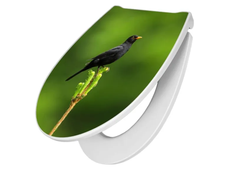 Banjado Premium Toilettendeckel Mit Absenkautomatik WC-Sitz Soft Close Hygienischer Klodeckel Duroplast Mit Motiv Vogel Auf Tannenzweig