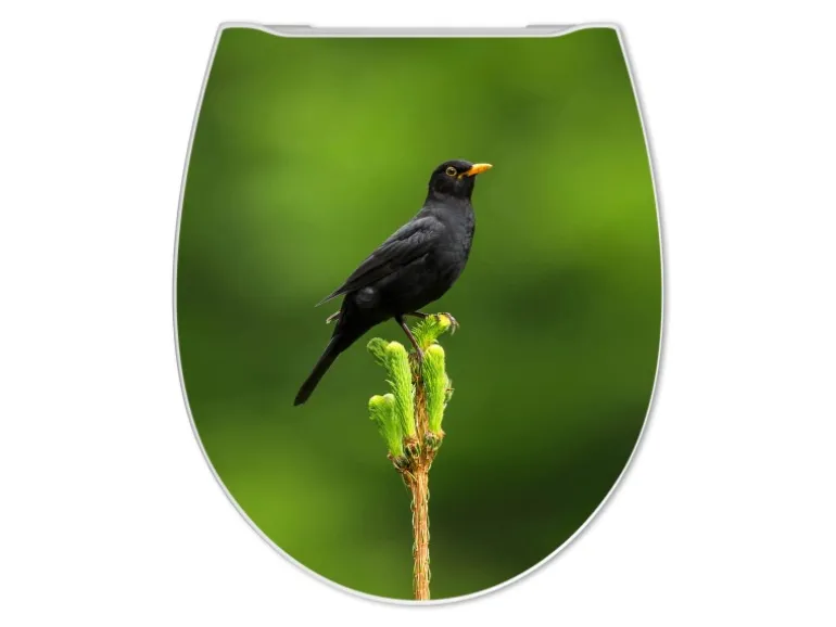Banjado Premium Toilettendeckel Mit Absenkautomatik WC-Sitz Soft Close Hygienischer Klodeckel Duroplast Mit Motiv Vogel Auf Tannenzweig