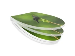 Banjado Premium Toilettendeckel Mit Absenkautomatik WC-Sitz Soft Close Hygienischer Klodeckel Duroplast Mit Motiv Vogel Auf Tannenzweig