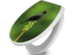 Banjado Toilettendeckel Mit Absenkautomatik WC-Sitz Soft Close Weiß Hygienischer Duroplast Leichte Montage Mit Motiv Vogel Auf Tannenzweig