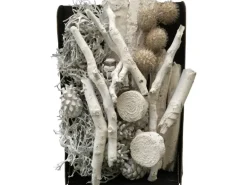 Bastelmix getrocknete Blüten, Zapfen und Moos