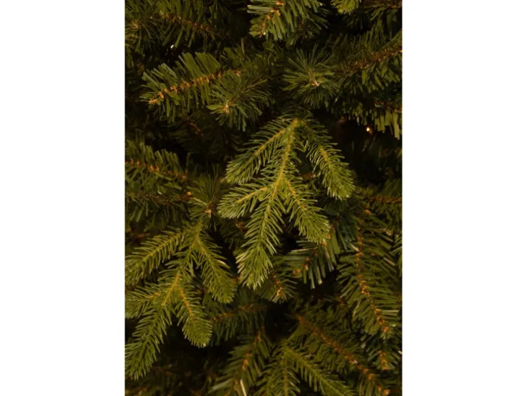 Black Box Trees Weihnachtsbaum Harma Pilar 215 cm x Ø 66 cm Grün