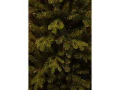 Black Box Trees Weihnachtsbaum Harma Pilar 215 cm x Ø 66 cm Grün