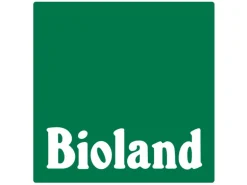 Blu Bio Weihnachstbäumchen ''Top Point'' Topf-Ø ca. 10 cm Chamaeyparis thoides