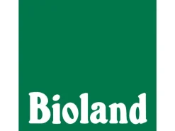 Blu Bio-Silberdraht "Advent" Topf-Ø ca. 12 cm Calocephalus brownii