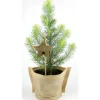 Blu Bio-Weihnachtsbäumchen Pinie Topf-Ø ca. 12 cm Pinus pinea