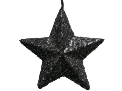 Boltze Dekoanhänger-Stern Noir 19 cm x 19 cm x 4 cm Schwarz