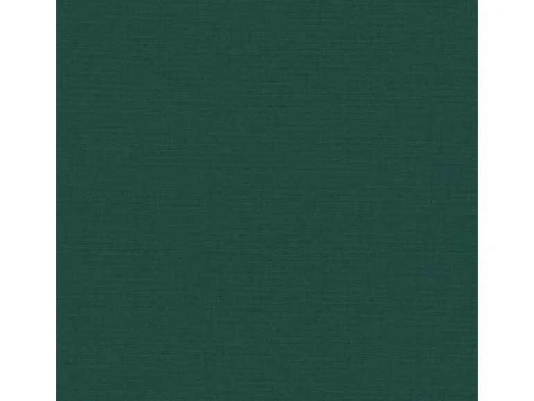 Bricoflor Uni Tapete in Tannengrün Schlafzimmer und Wohnzimmer Vliestapete in Dunkelgrün Vlies Unitapete Klassisch mit Vinyl Abwaschbar