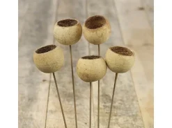 Deko-Pflanze Bell Cup am Stiel Natur