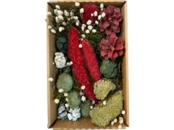 Dekoration Decomix in Craft Box 22 cm x 15 cm x 5 cm Rot-Weiß-Grün