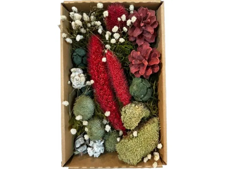 Dekoration Decomix in Craft Box 22 cm x 15 cm x 5 cm Rot-Weiß-Grün