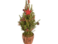 Dekorierte Zuckerhut-Fichte im Holzgefäß Topf Ø ca. 16,5 cm Picea glauca