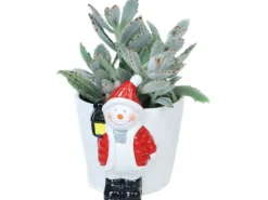 Dickblatt in Schneemann-Keramik Topf-Ø ca. 11 cm