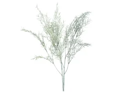 DPI Asparagus-Zweig 85 cm Grün 2-Fach Sortiert