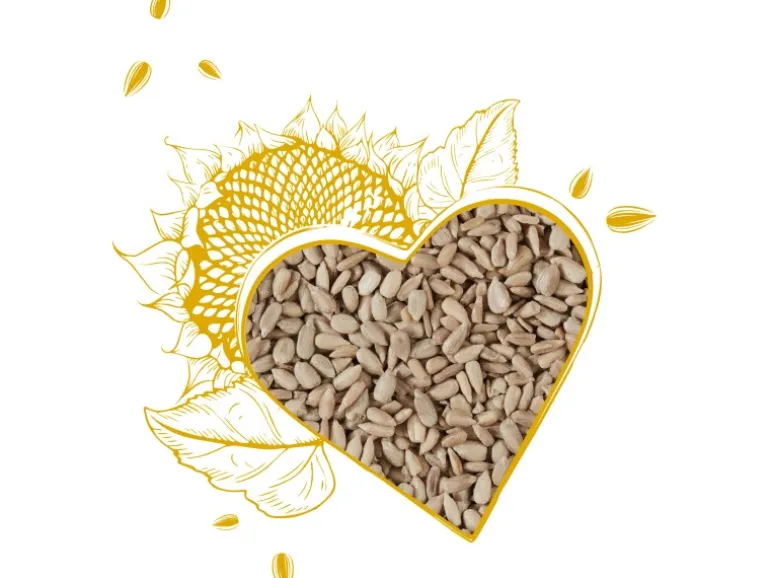 Elles Sonnenblumenkerne geschält 1 kg